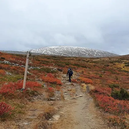 Tunturinlaita A4, Ski-in Ski-out 3xbedroom 度假居